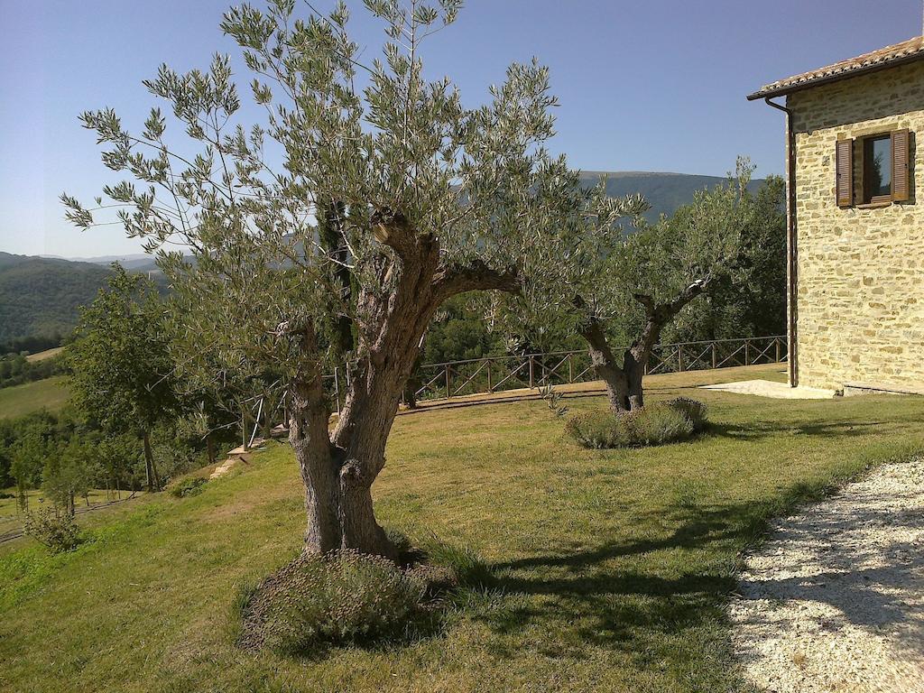 Agriturismo Paradiso 44 Assisi Luaran gambar