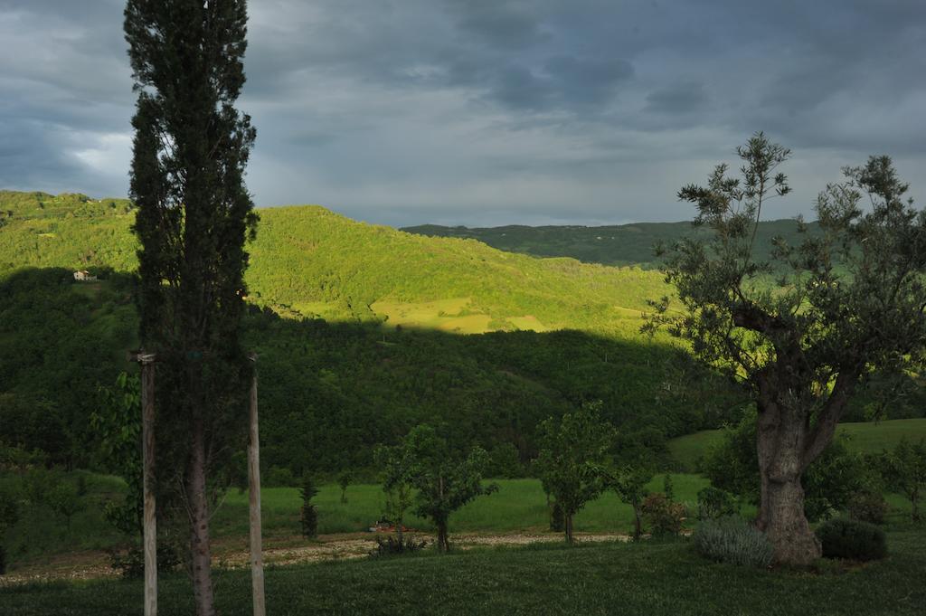 Agriturismo Paradiso 44 Assisi Luaran gambar