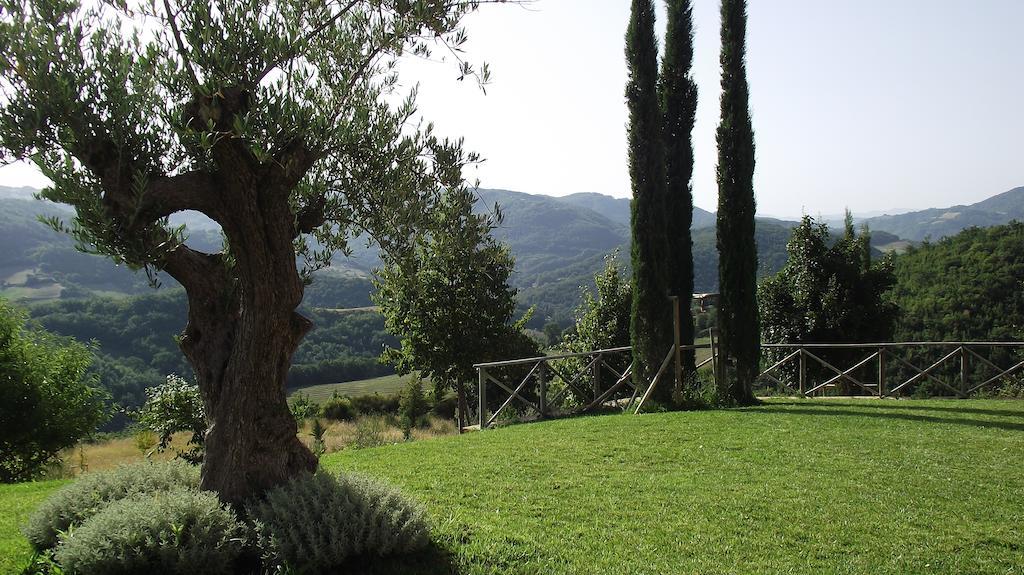 Agriturismo Paradiso 44 Assisi Luaran gambar