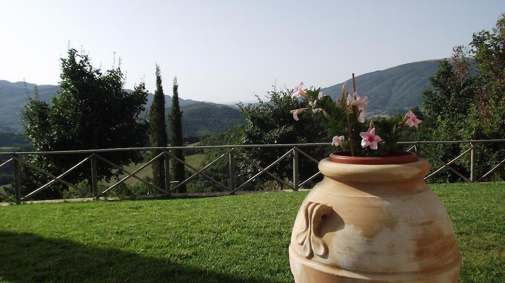 Agriturismo Paradiso 44 Assisi Luaran gambar