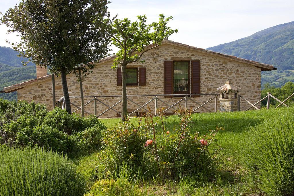 Agriturismo Paradiso 44 Assisi Luaran gambar
