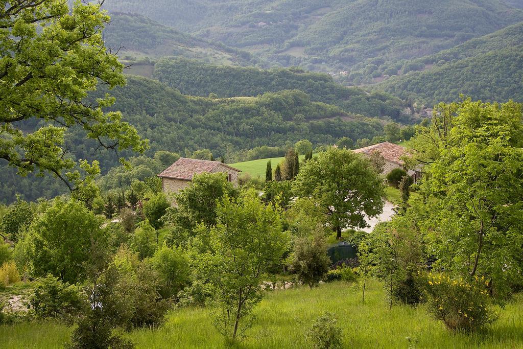 Agriturismo Paradiso 44 Assisi Luaran gambar